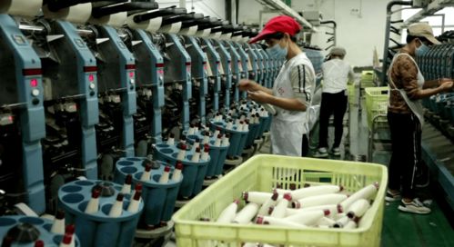 北湖區 訂單追著企業跑，服務圍著企業轉——紡織品產業的轉型與振興